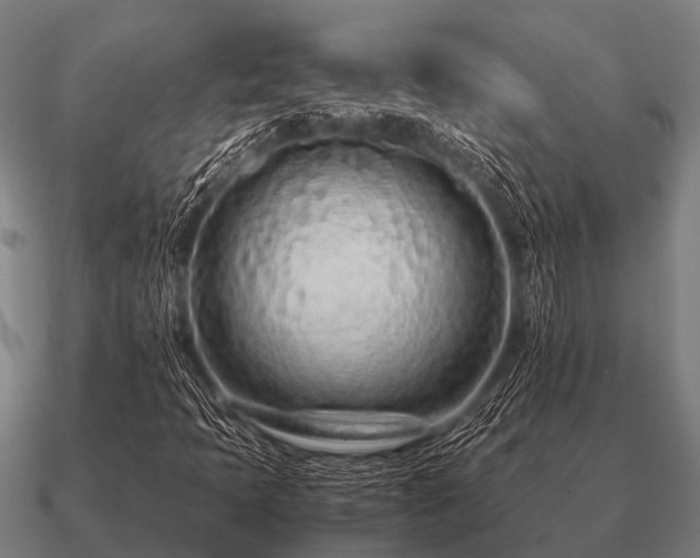 X0000090901397200708061455