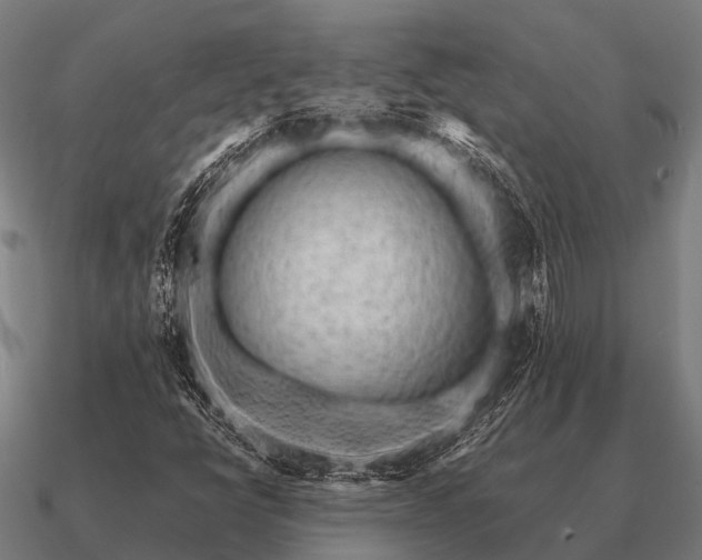 X0000090901398200708061455