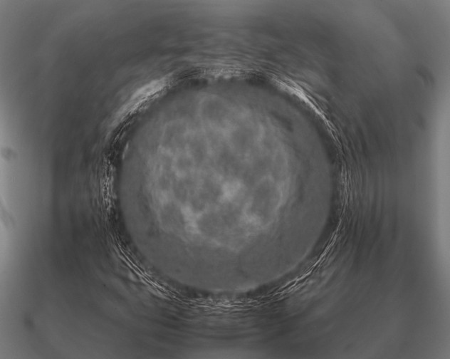 X0000090901399200708061455