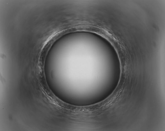 X0000090901400200708061455