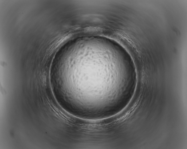 X0000090901401200708061455