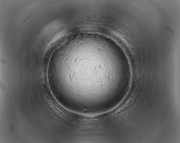 X0000090901403200708061455