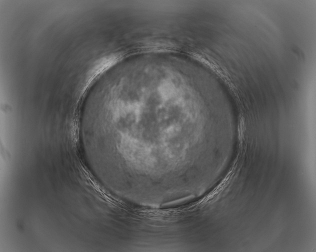 X0000090901405200708061455