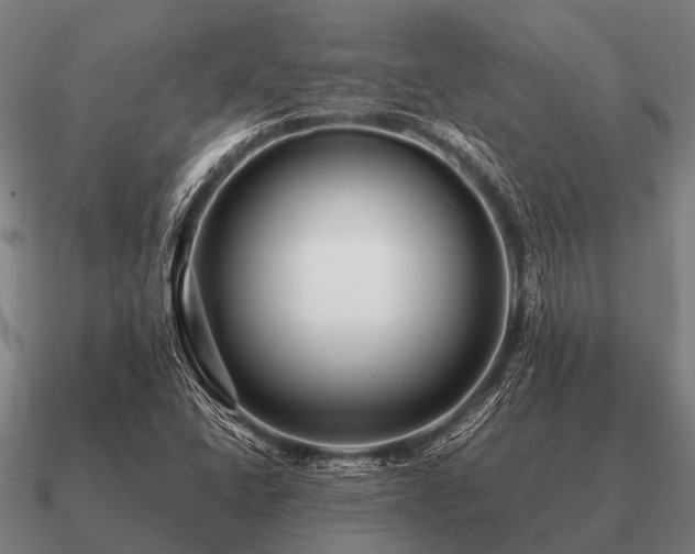 X0000090901406200708061455