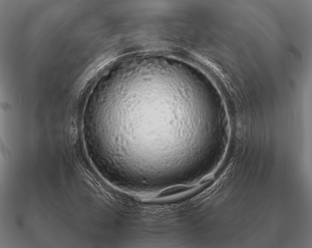 X0000090901407200708061455