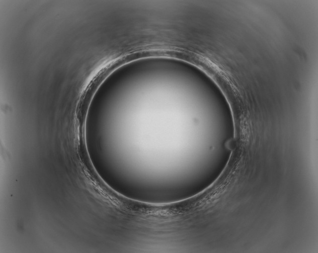 X0000090901408200708061455