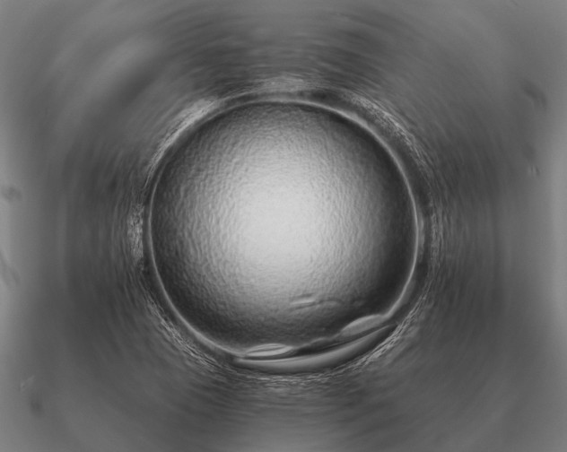 X0000090901409200708061455