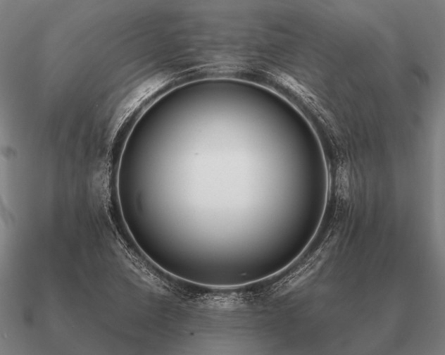 X0000090901410200708061455