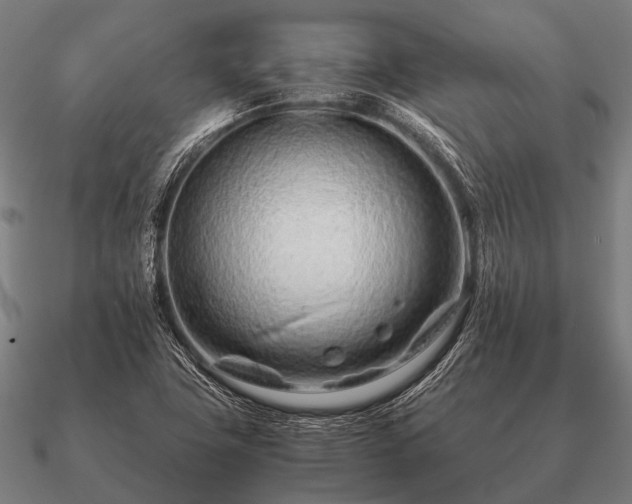 X0000090901411200708061455