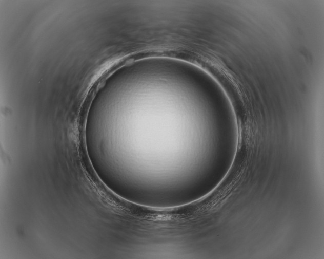 X0000090901412200708061455