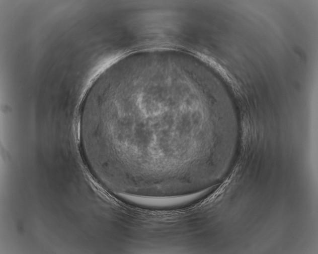 X0000090901413200708061455