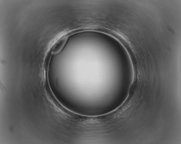 X0000090901414200708061455