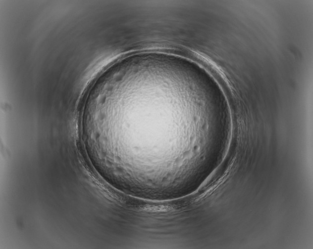 X0000090901415200708061455