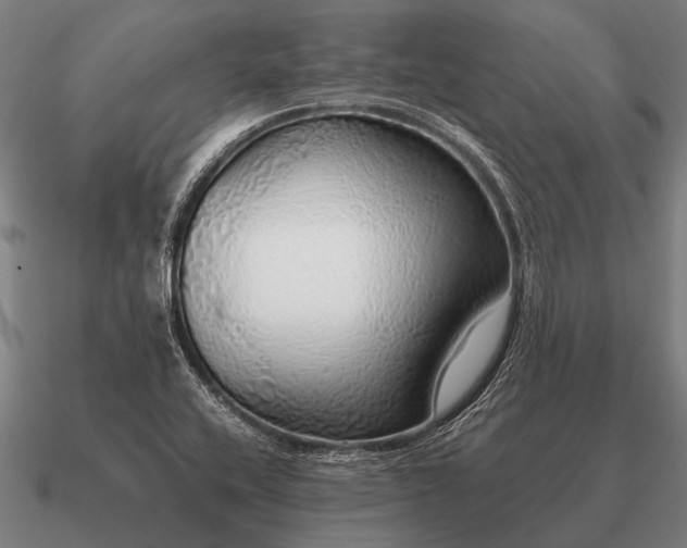 X0000090901416200708061455