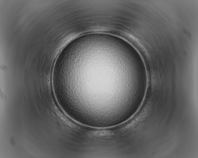 X0000090901417200708061455