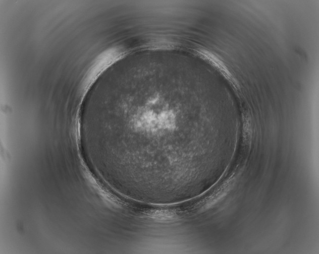 X0000090901418200708061455