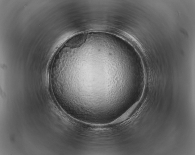 X0000090901419200708061455