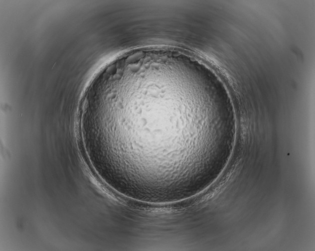 X0000090901421200708061455