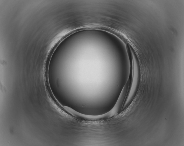 X0000090901422200708061455