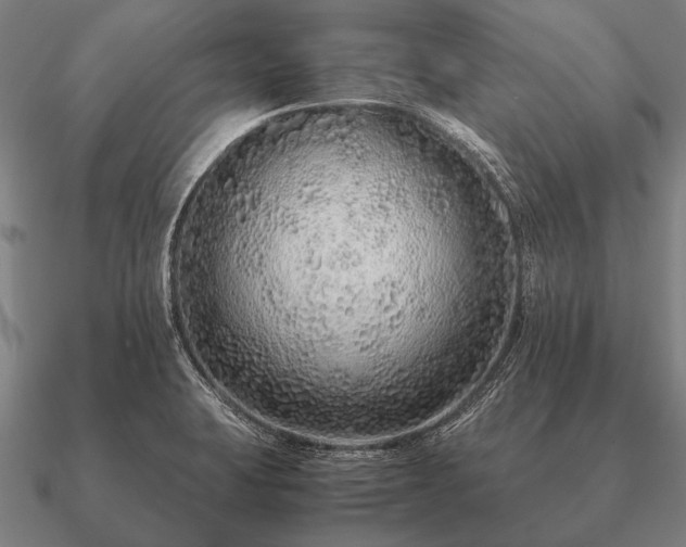 X0000090901423200708061455