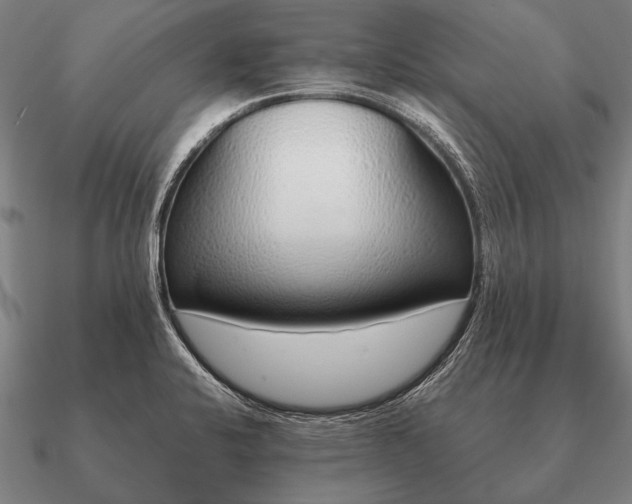 X0000090901424200708061455