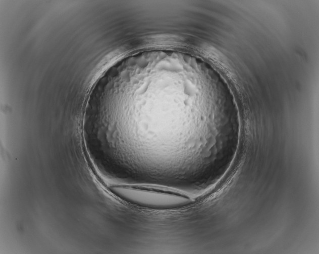 X0000090901425200708061455