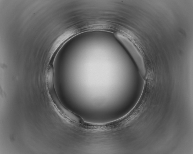 X0000090901426200708061455