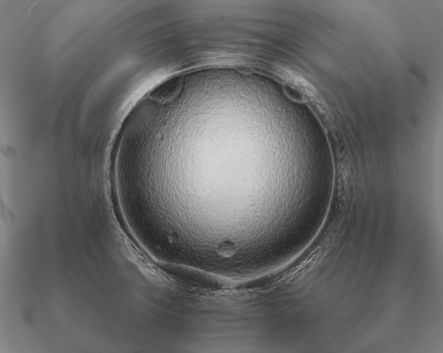 X0000090901427200708061455