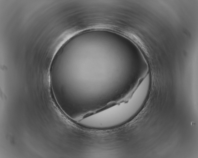 X0000090901428200708061455