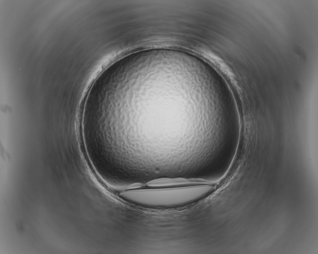 X0000090901429200708061455