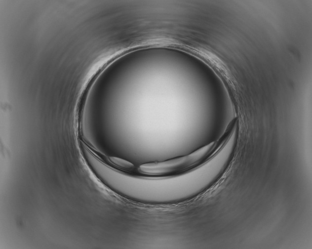 X0000090901430200708061455