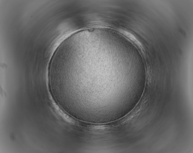 X0000090901431200708061455