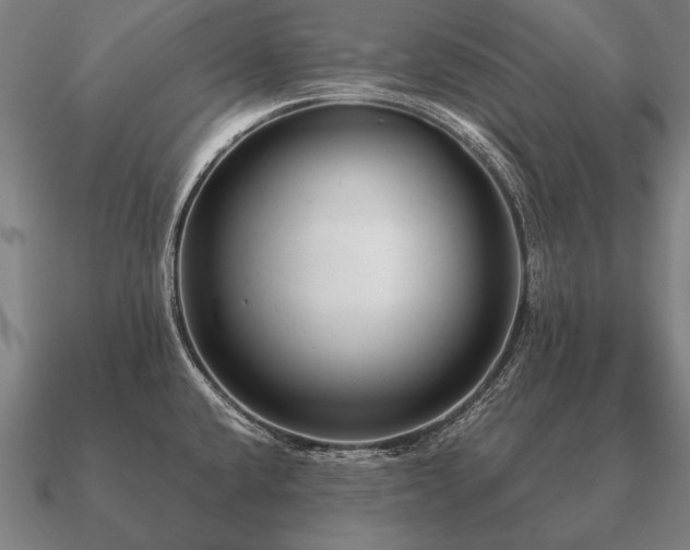 X0000090901432200708061455