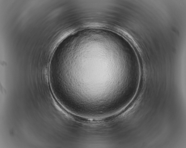 X0000090901433200708061455