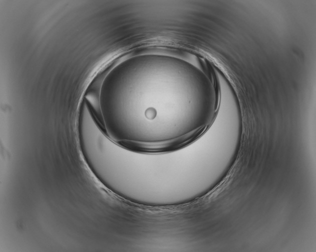 X0000090901434200708061455