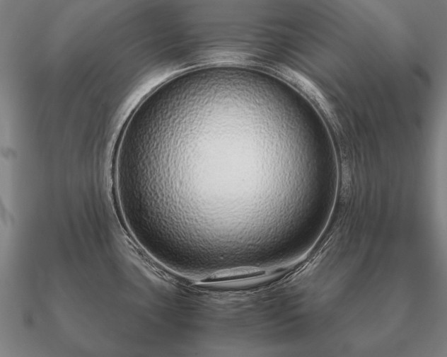 X0000090901435200708061455