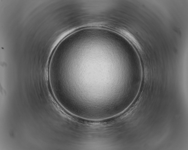 X0000090901436200708061455