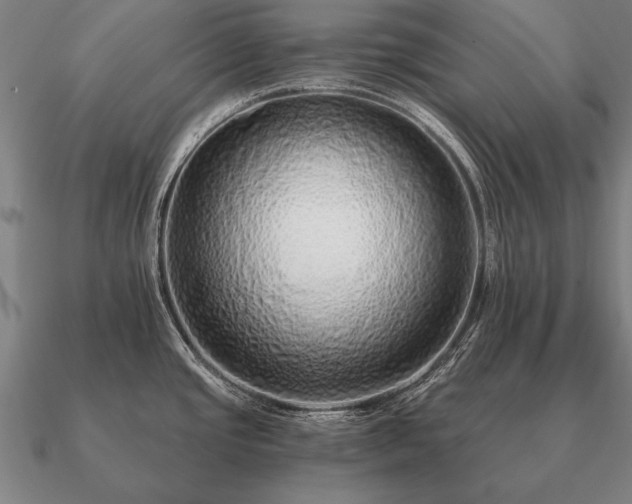 X0000090901437200708061455