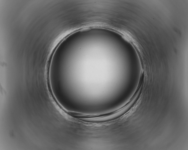 X0000090901438200708061455