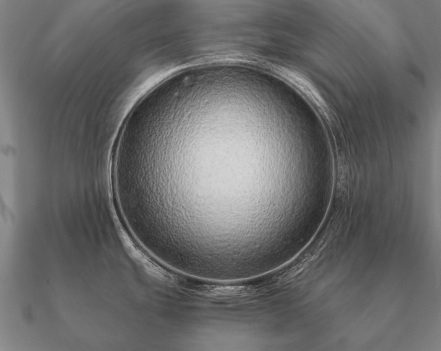 X0000090901439200708061455