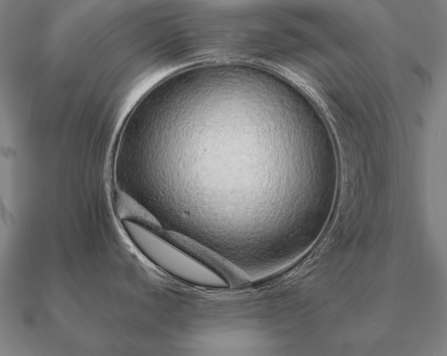 X0000090901440200708061455