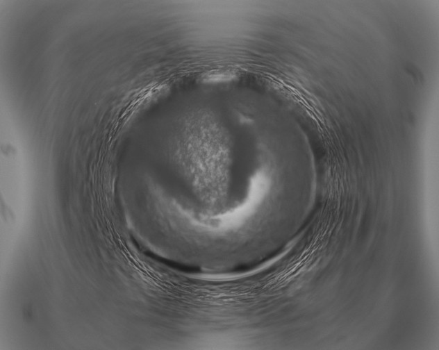 X0000090901441200708061455