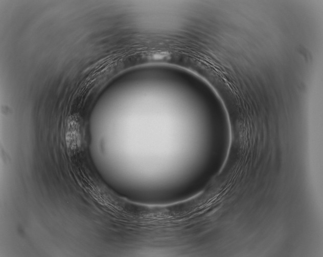 X0000090901442200708061455