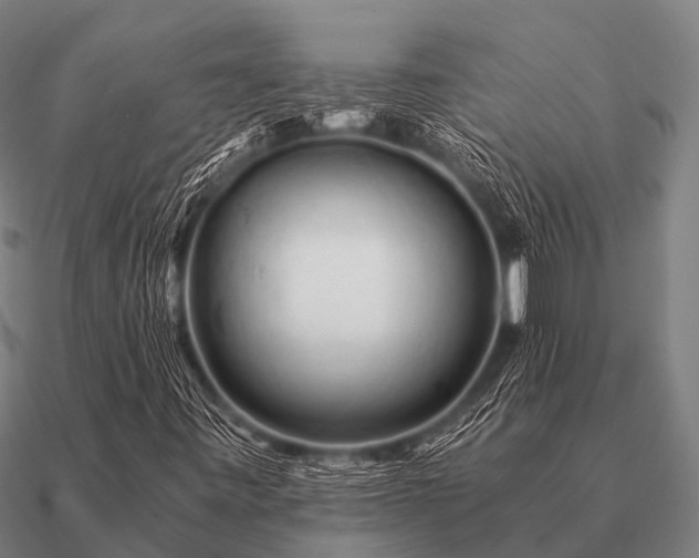 X0000090901443200708061455