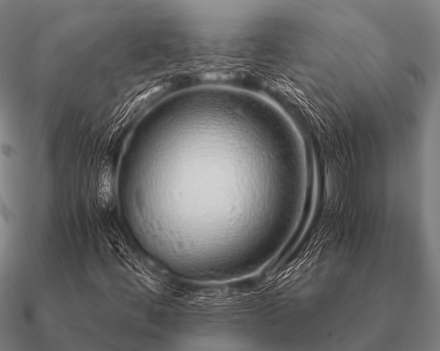 X0000090901444200708061455