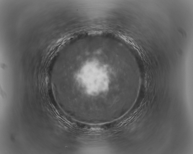 X0000090901445200708061455