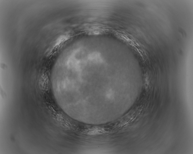 X0000090901446200708061455