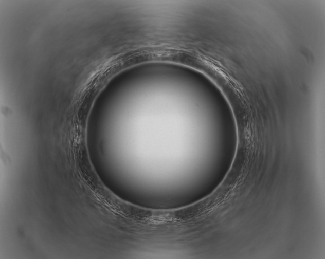 X0000090901447200708061455