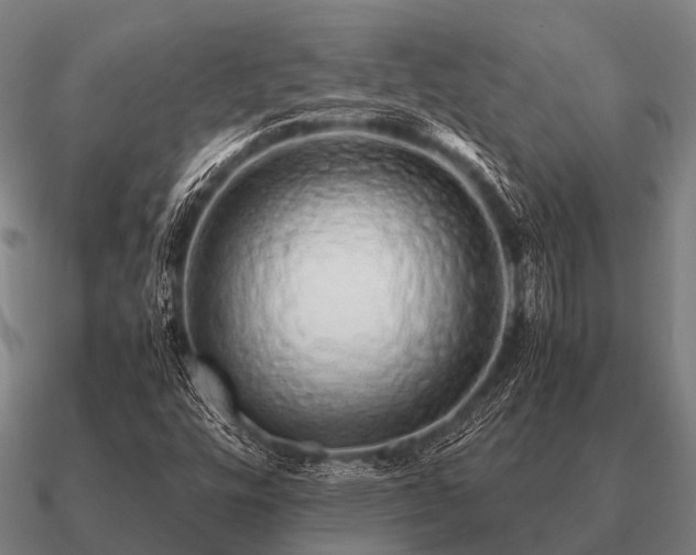 X0000090901448200708061455