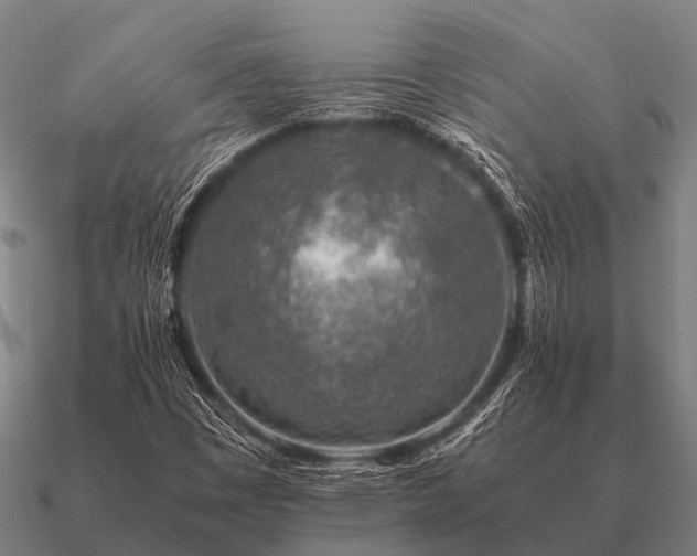 X0000090901449200708061455